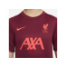                                                                                                                                                                                               FC Liverpool Strike T-Shirt Kids 677