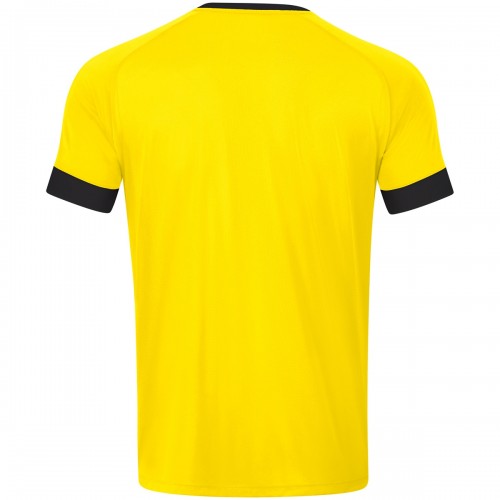 JAKO Trikot Celtic Melange 300