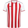 JAKO Trikot Inter 011