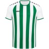 JAKO Trikot Inter 013