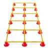 Coordination ladder (46 pieces) - incl. bag