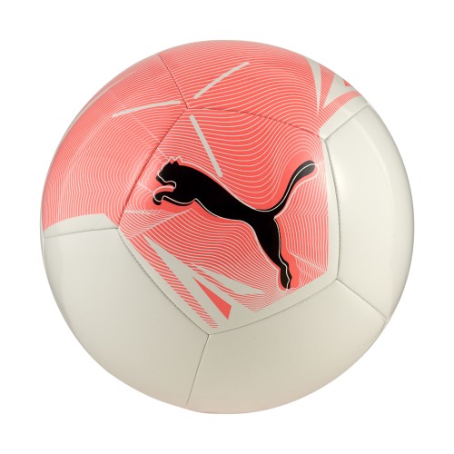 Puma Big Cat
