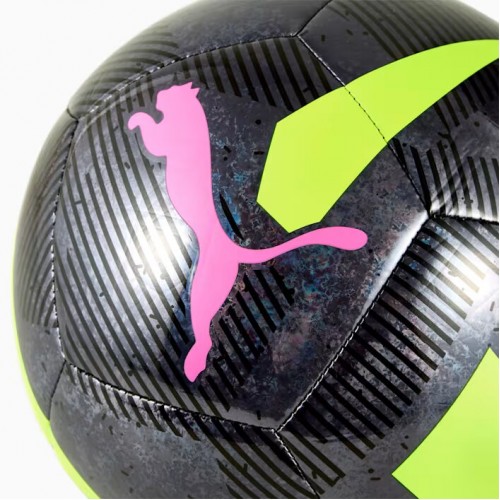 Puma Cage