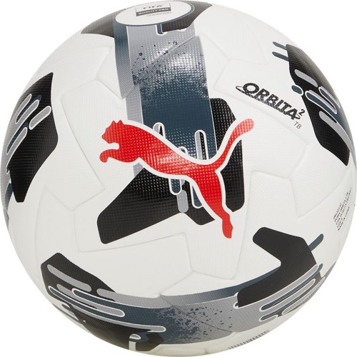 Puma Orbita 2 TB FIFA Quality Pro