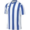 Nike Striped Division V Dri-FIT Kids