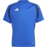 Adidas TIRO 24 COMPETITION MATCH TEAM ROYAL BLUE