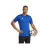 Adidas TABELA 23 TEAM ROYAL BLUE WHITE