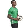 Adidas TABELA 23 TEAM GREEN WHITE