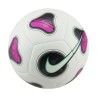Nike Futsal Pro 100