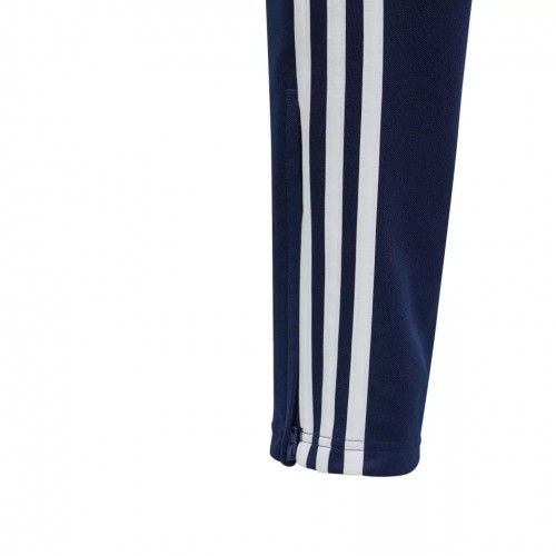 adidas TIRO24 TRPTY
