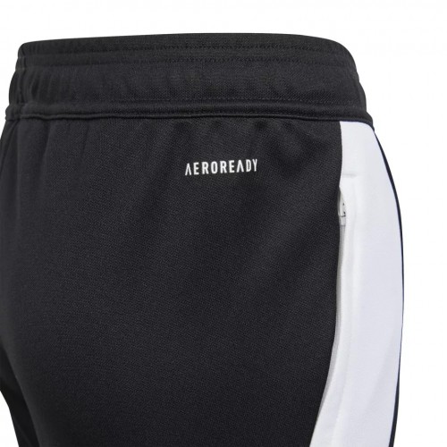 adidas TIRO24 TRPTY