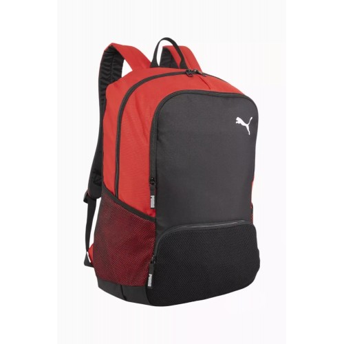 Puma TeamGOAL Premium