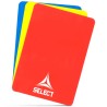 REFEREE CARDS