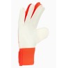 ADIDAS PREDATOR TRAINING JUNIOR