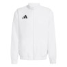 adidas Entrada 26 Presentation 623