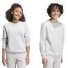 adidas Entrada 26 Sweat Top Sweatshirt Junior 551
