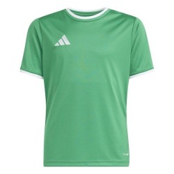 ADIDAS ENTRADA 26 TEAM 503