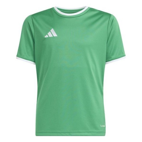 ADIDAS ENTRADA 26 TEAM 503