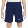NIKE ACADEMY 25 KNIT JR 410
