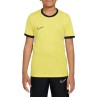 NIKE ACADEMY 25 TOP JR 719