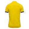 Nike Dri-FIT Academy 25 Polo 719
