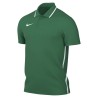 Nike Dri-FIT Park 26 Polo JR 302