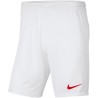 NIKE PARK KNIT SHORT 103
