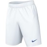 NIKE PARK KNIT SHORT 104