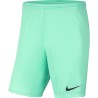 NIKE PARK KNIT SHORT 354