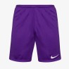 NIKE PARK KNIT SHORT 507