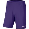 NIKE PARK KNIT SHORT 547