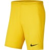 NIKE PARK KNIT SHORT 719