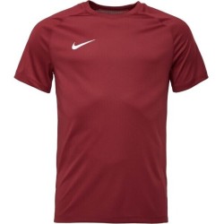 NIKE PARK VIII JERSEY 677