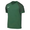 NIKE TROPHY VI JERSEY JR 302