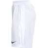 NIKE VAPOR V KNIT SHORT 101
