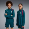 Puma Portugal 2026 Training 1/4 Zip Junior