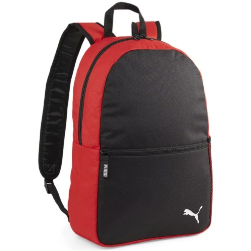 Puma TeamGOAL